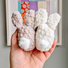 Load image into Gallery viewer, Hatching Carrot + Mini Bunny
